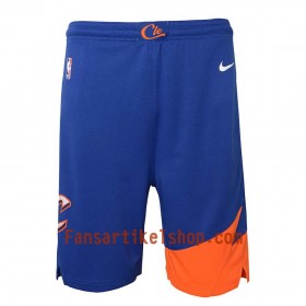 NBA Cleveland Cavaliers Herren Shorts Royal 2018-19 Nike Swingman